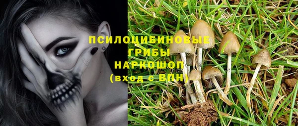 хмурый Кукмор