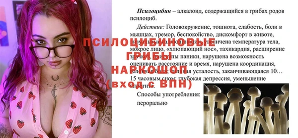 хмурый Кукмор